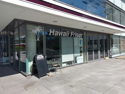 Hawaii Barber, Sandvika | Frisørsalong i Sandvika