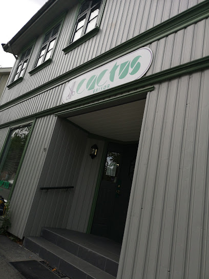 Cactus Frisor | Frisørsalong i Gjøvik